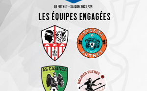 Ligue Corse de Football - Lega Corsa di Ballo - FFF - Fédération ançaise de Football | LinkedIn